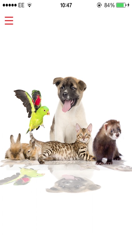Pet Supplies UK
