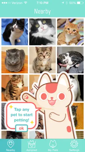 PetLove <3 screenshot 2