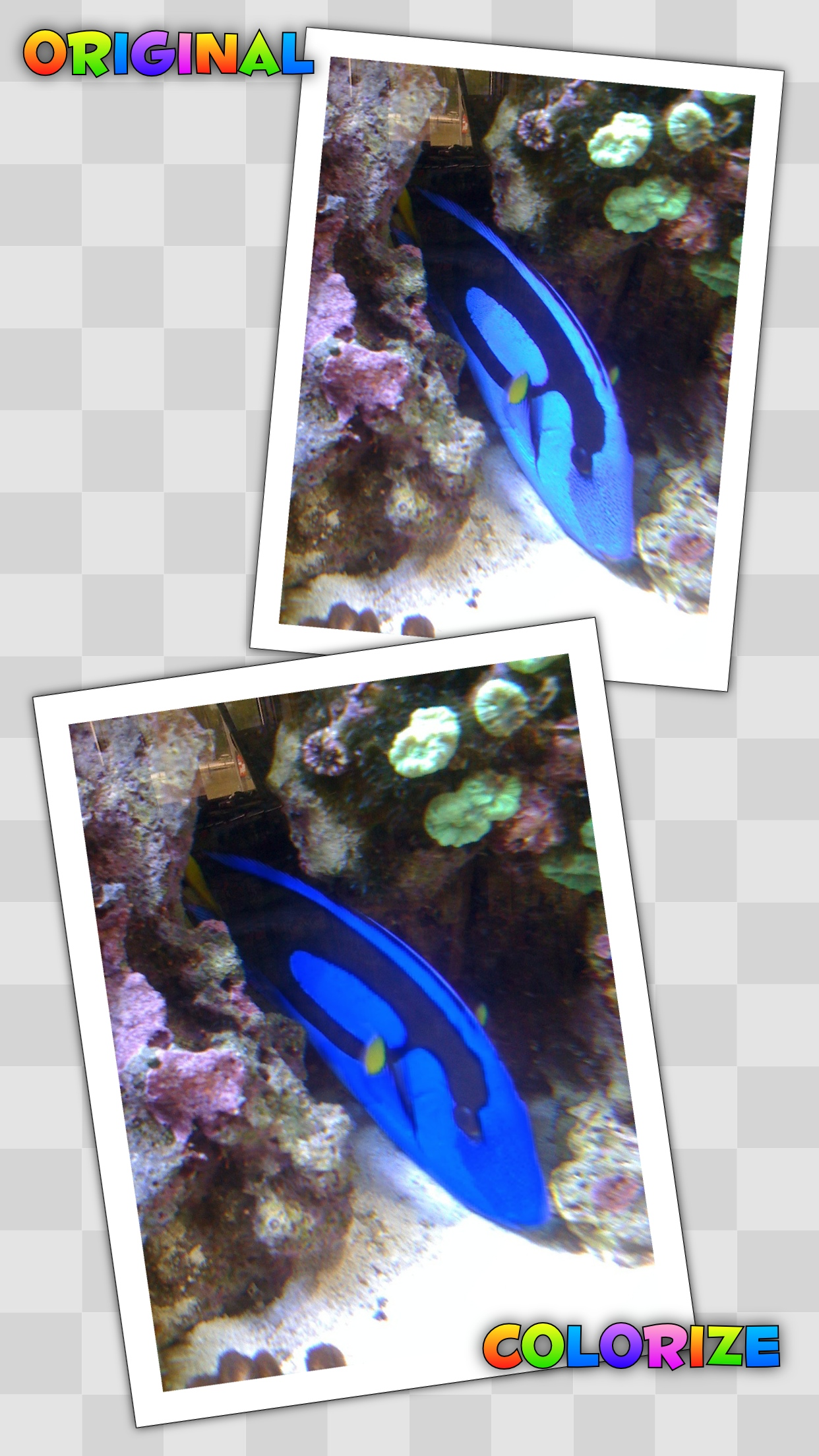 Photo Splat Free screenshot 4
