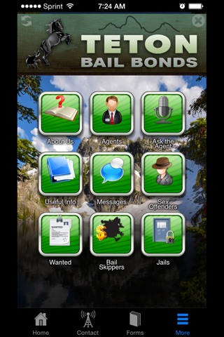 Idaho Bail screenshot 2