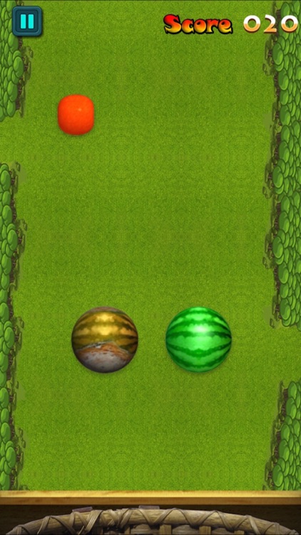 Fruit Frenzy - Fresh From Farm