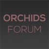 Orchids Online Community