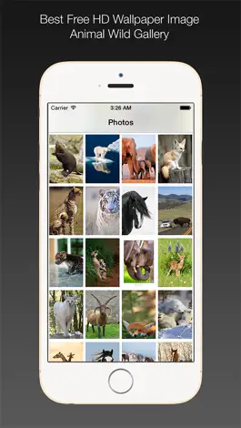 Game screenshot Animal Wild Wallpaper HD apk