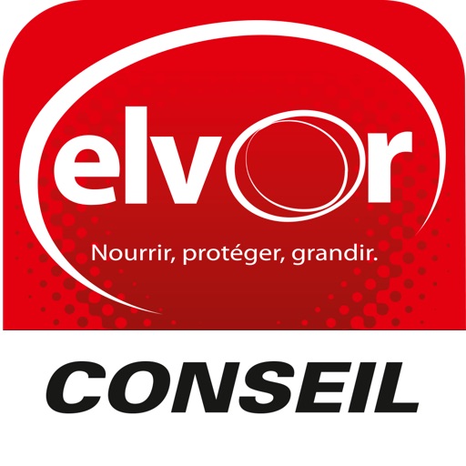 Elvor conseil