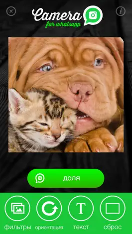 Game screenshot Камера для WhatsApp - поделиться удивительные фотографии с моими друзьями apk