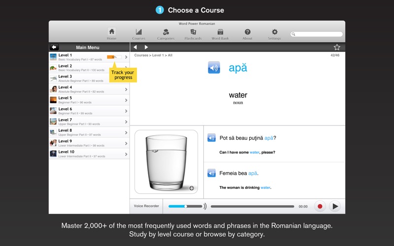 WordPower Learn Romanian Vocabulary by InnovativeLanguage.com thumbnail 1