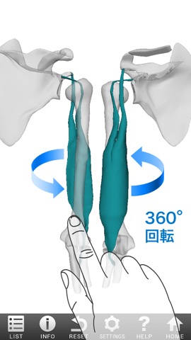 3D筋肉図鑑のおすすめ画像1