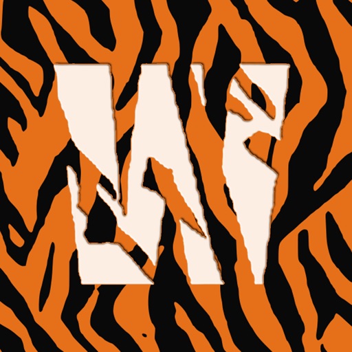 Wild Cats Orchestra Icon