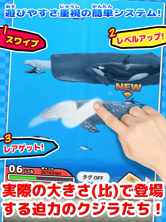 世界のクジラとイルカ図鑑 かんたん図鑑放置シリーズ くじら水族館ゲーム をapp Storeで 世界のクジラとイルカ図鑑 かんたん図鑑放置シリーズ くじら水族館ゲーム をapp Storeで