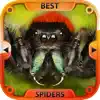 The Best Spiders contact information
