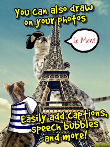 Screenshot #6 pour CATstagram! Turn people into CATS instantly and more!