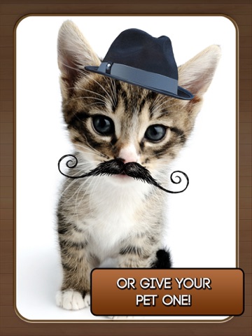 Screenshot #5 pour Mustache Booth - A Funny Facial Hair Photo Editor