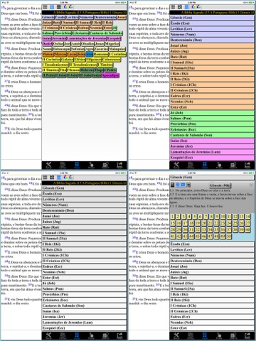 A Bíblia Sagrada (Portuguese Bible)HD screenshot 3