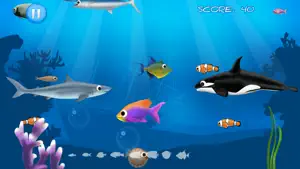 Best Hungry Fish screenshot #2 for iPhone