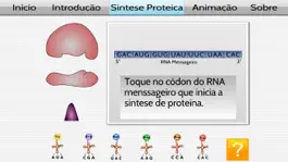 Game screenshot Síntese Proteica apk