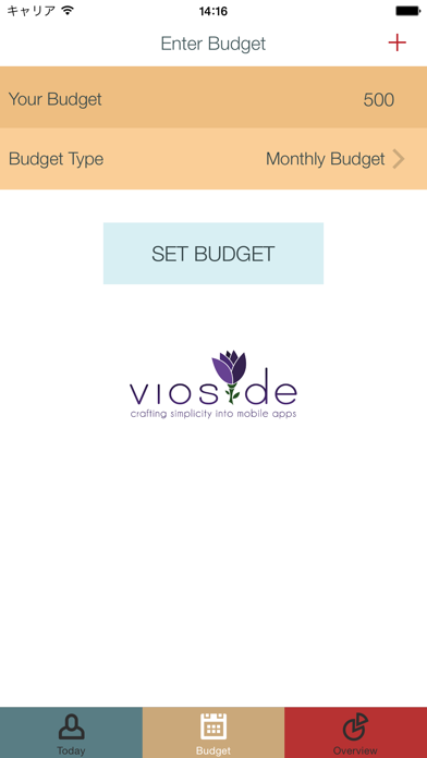 How to cancel & delete Budget Manager - PFA from iphone & ipad 2