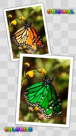 Game screenshot Photo Splat Free apk