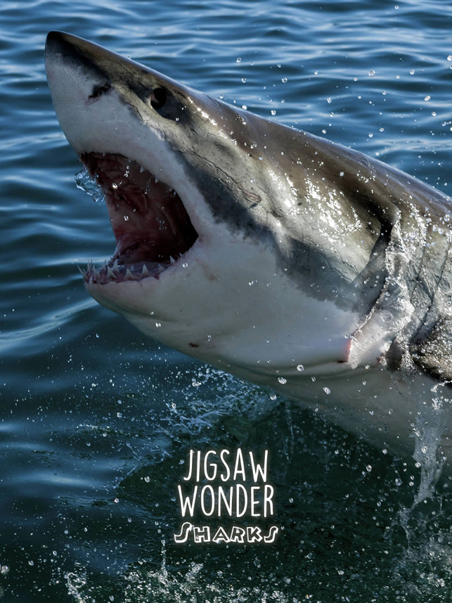 ‎Shark Puzzles for Kids Jigsaw Wonder Collection Screenshot