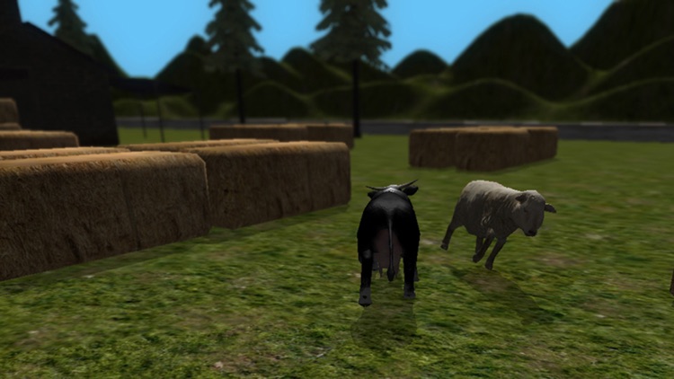 Crazy Cow Simulator FREE