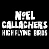 NGallagher's High Flying Birds