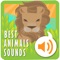 The Best Animal Sounds