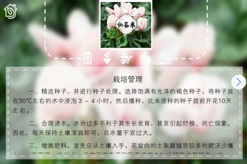 Handbook For Domestic Horticulture--Ornamental Flowers and Plants screenshot 3