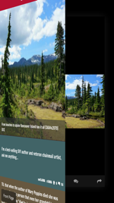 R2 — Reddit Browser screenshot