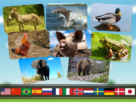Screenshot #5 pour des sons d'animaux et des photos pour les enfants et les bébés - Apprendre les sons d'animaux avec jeu de mémoire