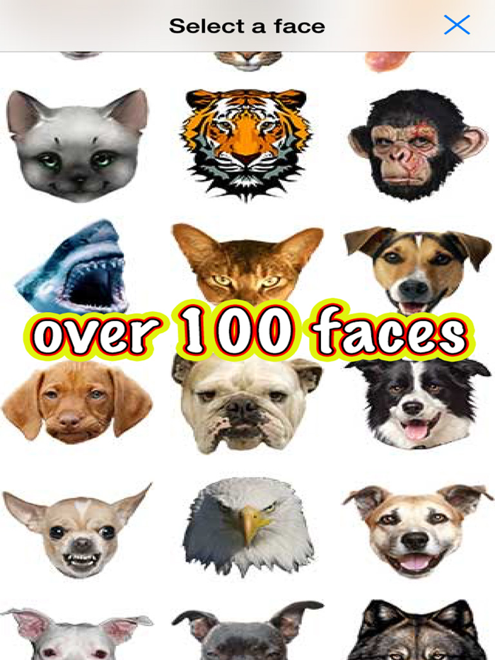 Animal Cam - Swap your face with the head of funny animals such as cats dogs bears pigs wolfs fish or birds from your camera