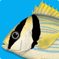 Meeresfische - Identification Guide apk