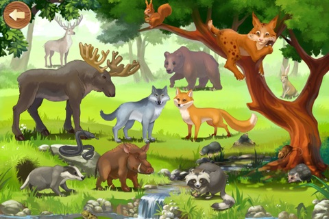 Forest Animals: Interactive Encyclopedia for Kids about European Fauna screenshot 2