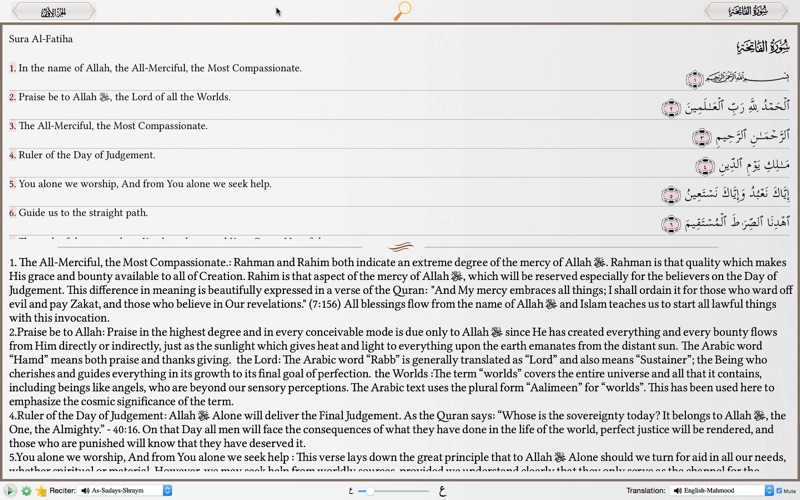 quran commentary — english iphone screenshot 1