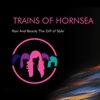 Trains of Hornsea