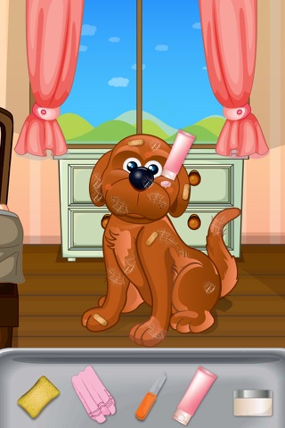 Pet Vet Doctor - Treat Injured animals in crazy surgeon hospital screenshot 4