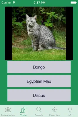 Game screenshot Animal Atlas hack