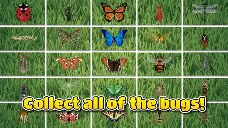 Fun Bugs - Education App | MWM
