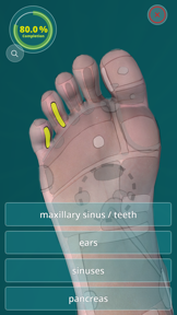Reflexology Quiz - zones screenshot