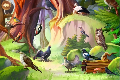 Forest Animals: Interactive Encyclopedia for Kids about European Fauna screenshot 4