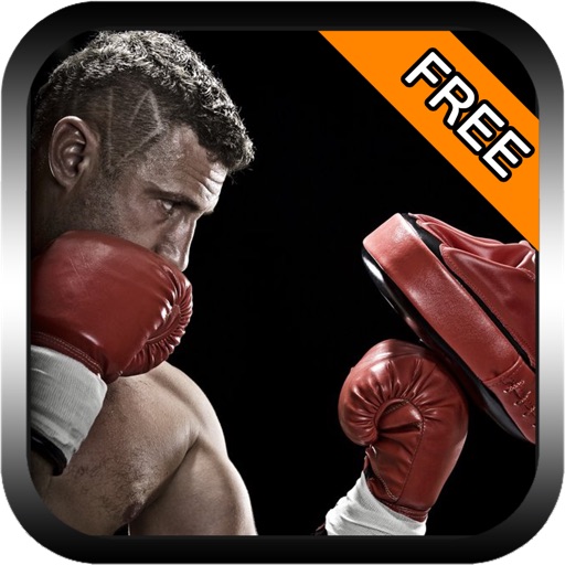 Street Boxing 3D Free iOS App