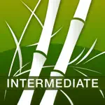 Human Japanese Intermediate Lite HD | Learn Japanese with your personal sensei-in-a-box™ App Negative Reviews