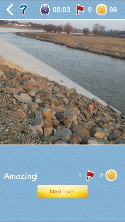 Find the Cat 2 - look for a cat on a picture screenshot-3