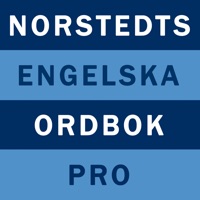 Norstedts engelska ordbok Pro