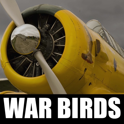 War Birds - Blue Victory -