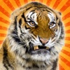 Tiger Sticker Photo Editor PRO: Draw/Stamp Tigers Animal Prank