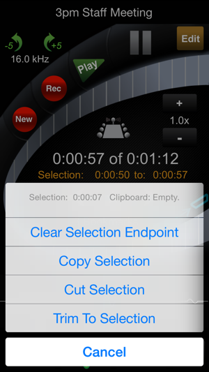 ‎HT Professional Recorder Screenshot