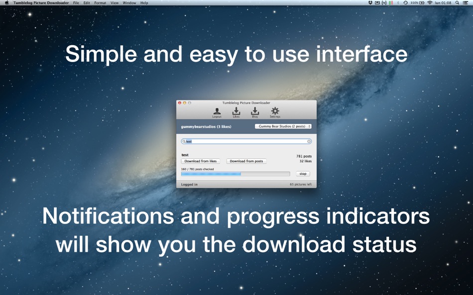 #3. Tumblelog Picture Archiver (macOS) 由: Marco Petrucci