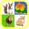 Icon Best animal sound for kids