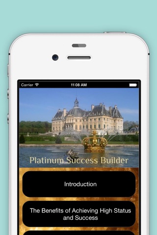 Platinum Success Builder screenshot 2