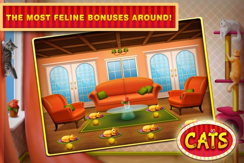 Cats Free Slots Casino Machines Jackpot screenshot 3
