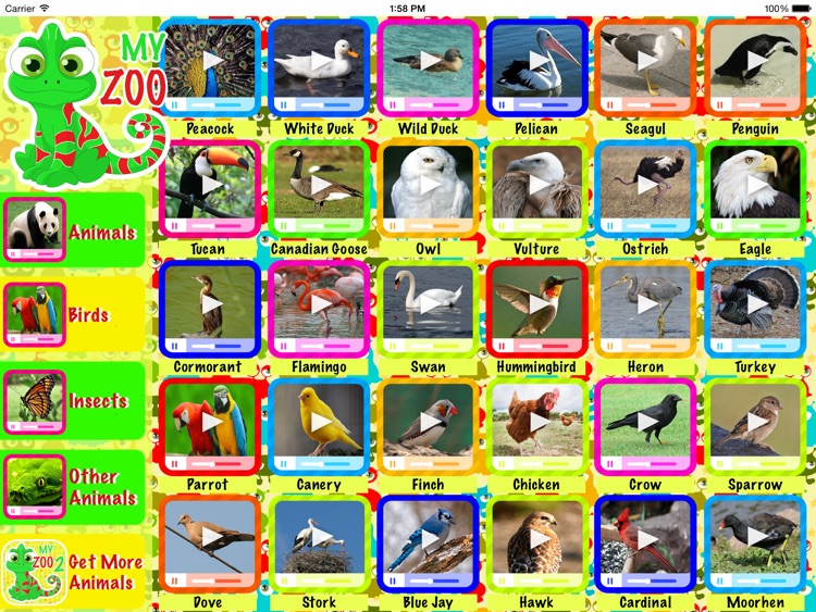 MY ZOO - Learn Animal Names!